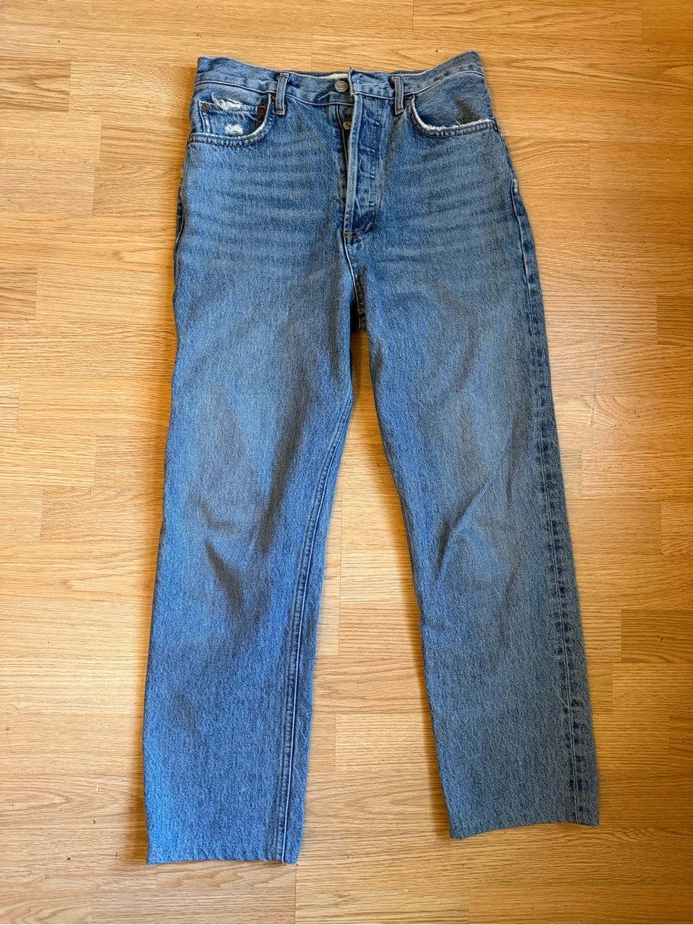 Agolde 90s Pinch Waist Jeans (hemmed)